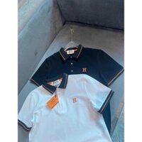 Áo polo nam tay cộc