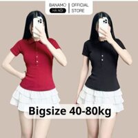 Áo polo nữ BIGSIZE Banamo Fashion Hà Nội áo polo cổ bẻ cúc dọc cộc tay chất tăm thái dáng ôm quyến rũ 3910