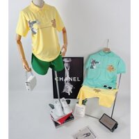 Áo polo nữ ngắn tay Tom và Jerry 2 màu vàng và xanh chất thun cá sấu cực đẹp