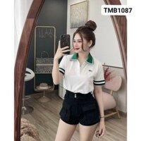 Áo polo nữ trắng cổ xanh, áo thun nữ polo trắng phong cách thể thao - TRẮNG - m<65kg