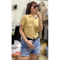 áo polo nữ uniqlo japan ®️