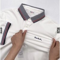 Áo Polo Pierre.Cardin nhập khẩu INDONESIA cao cấp - Áo polo nam lịch thiệp form chuẩn ÂU lịch thiệp