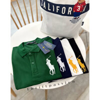 Áo Polo Ralph Lauren Hàng Xuất Chuẩn Chất Cotton Đẹp