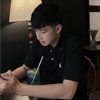 Áo polo Ralph Lauren logo thêu chuẩn chính hãng cao cấp, sang trọng, thoáng mát mùa hè full bọc tag