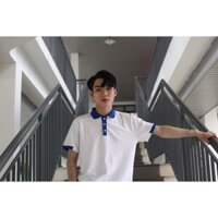 Áo Polo Trắng Xanh GIABACO Cotton Co Giãn