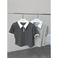 Áo polo unisex kẻ ngang cotton 100% AP3518