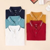 Áo polo YODY nữ mắt chim bo cổ kẻ vạch thoáng mát APN5074 New  📸