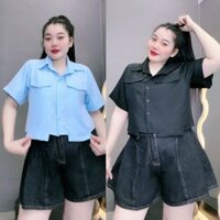 Áo sơ mi Bigsize Nữ dáng lửng croptop tay ngắn thời trang chất vải lụa chéo mềm ít nhăn 60-100kg- SM162