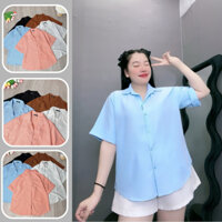 Áo sơ mi bigsize nữ tay ngắn kiểu xẻ lưng có cúc, Áo kiểu big size nữ phong cách đơn giãn AT10