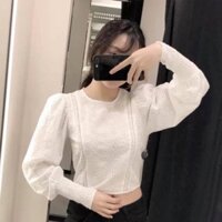Áo sơ mi croptop
