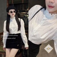 Áo sơ mi đính đá cổ trụ bèo xinh, Áo sơ mi nữ trắng kiểu sang chảnh A012 MOLLY HÔUSE STORE