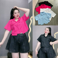 Áo sơ mi Fashion bigsize nữ tay ngắn cổ bẻ dáng ngắn kèm túi 2 bên áo chất lụa chéo dáng ngắn xinh xắn SM162