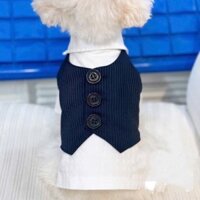 Áo sơ mi gile cho thú cưng - Pun pun Petshop