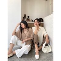 Áo sơ mi hàn quốc tay cộc tà đuôi tôm