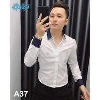 Áo sơ mi màu trắng tay sọc cổ