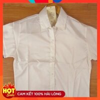 Áo sơ mi nam Hàn Quốc  tay ngắn màu trắng sọc đen tay áo 079