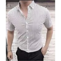 Áo sơ mi nam kẻ sọc ngắn tay vải cotton
