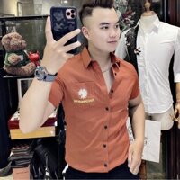 Áo sơ mi nam King168, chất lụa mềm không nhăn, không xù, vải mặc mát mẫu BĐ23 🌟