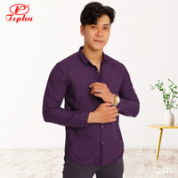 Áo sơ mi nam màu tím nho, phong cách Hàn Quốc, form body slim fit, không túi, vải Bamboo, Amazing - Tím than-2421 - L 60-65kg
