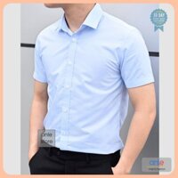 Áo sơ mi nam Ngắn tay Louis Công sở form Slimfit Cotton lụa cao cấp hàng hiệu cộc tay kiểu dáng ôm - Anle Store