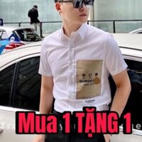 Áo sơ mi NAM NỮ pha cổ đuôi tôm kiểu dáng trẻ trung nặng động LỤA MÁT