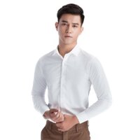 Áo sơ mi nam trơn dài tay Kojiba vải lụa nến không nhăn SML020