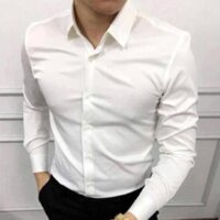 Áo sơ mi nam trơn dài tay Kojiba vải lụa nến không nhăn SML020