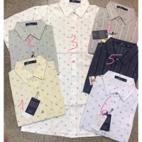 Áo sơ mi Nam trung niên