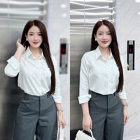 Áo sơ mi nữ công sở dài tay cao cấp – Sơ mi nữ thiết kế thanh lịch, sang trọng, thoáng mát, dễ phối đồ Emvy Fashion B1