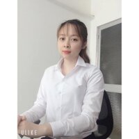 Áo sơ mi nữ tay dài Thái Hòa trơn - Màu trắng sáng - 740