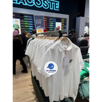 Áo sơ mi polo Lacoste màu trắng