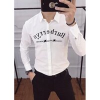 Áo sơ mi Quảng châu chất vải kate lụa