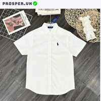 Áo Sơ Mi Ralph Lauren Tay Ngắn Chất Lụa Mềm Mịn Chống Nhăn Chính Hãng Prosper - Áo Sơ Mi Nam Thêu Ngựa Hottrend 2024