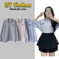 Áo Sơ Mi Tay Dài Form Rộng Chữ Thêu WZS Sọc Nhỏ Unisex 2tclothes