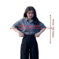 Áo sơ mi tay lỡ , áo kiểu nữ cọc tay , sơ mi xẽ cúc lưng ,áo sơ mi dáng rộng kẻ sọc cài khuy PLA141-SHOP PHUONG LYNH