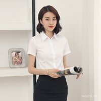 Áo sơ mi trắng cho phụ nữ, tay dài và tay ngắn, trang phục công sở, trang phục làm việc chính thức, dáng ôm, chất liệu cotton co giãn, áo không cần ủi, áo bán buôn