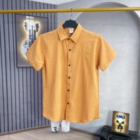 ÁO SƠ MI VẢI ĐŨI MÀU MỚI ĐƠN GIẢN DỄ MẶC DỄ PHỐI ĐỒ PHONG CÁCH CÁ TÍNH PHÙ HỢP THỜI TRANG