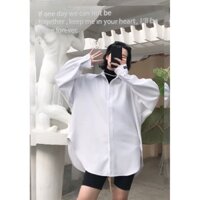 ÁO SƠMI DÁNG RỘNG ĐUÔI TÔM VẠT BẦU ( OVER SHIRT ) 💝