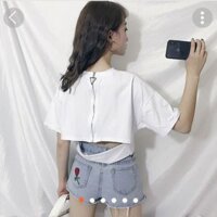 Áo t-shirt nữ