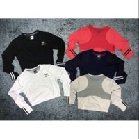 Áo tập Gym yoga croptop phối lưới nữ
