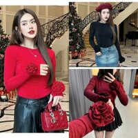 ÁO TAY DÀI ĐÍNH HOA THUN GÂN BIGSIZE