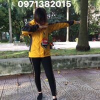 Áo the north face cao cấp 2 lớp màu vàng