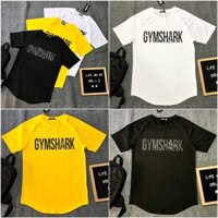 ÁO THỂ THAO NAM LAI BẦU THUN LƯỚI TẬP GYM, TẠ, CHẠY BỘ, TENNIS