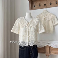 Áo thô boy ren cổ sen