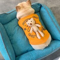 Áo Thu Đông Bằng Vải Nhung Dày Dặn Giữ Ấm In Họa Tiết Chó Bull Pháp Dành Cho Cún Cưng