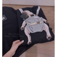 Áo thu đông Bigsize, áo chó balo