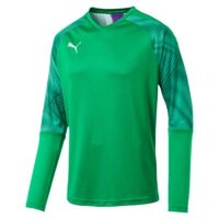 Áo thủ môn trẻ em PUMA CUP GK-Shirt l/s 703772 43