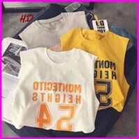 ÁO THUN BA LỖ FORM RỘNG UNIXEX CÁ TÍNH