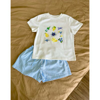 Áo Thun Baby Tee Cotton 250gsm Moshi Mochi