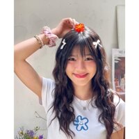 Áo thun baby tee HOA SỨA BIỂN, Áo phông form baby tee nữ BEION